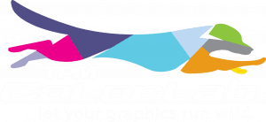 TPM ColorLab logo